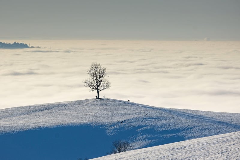 Travel Image